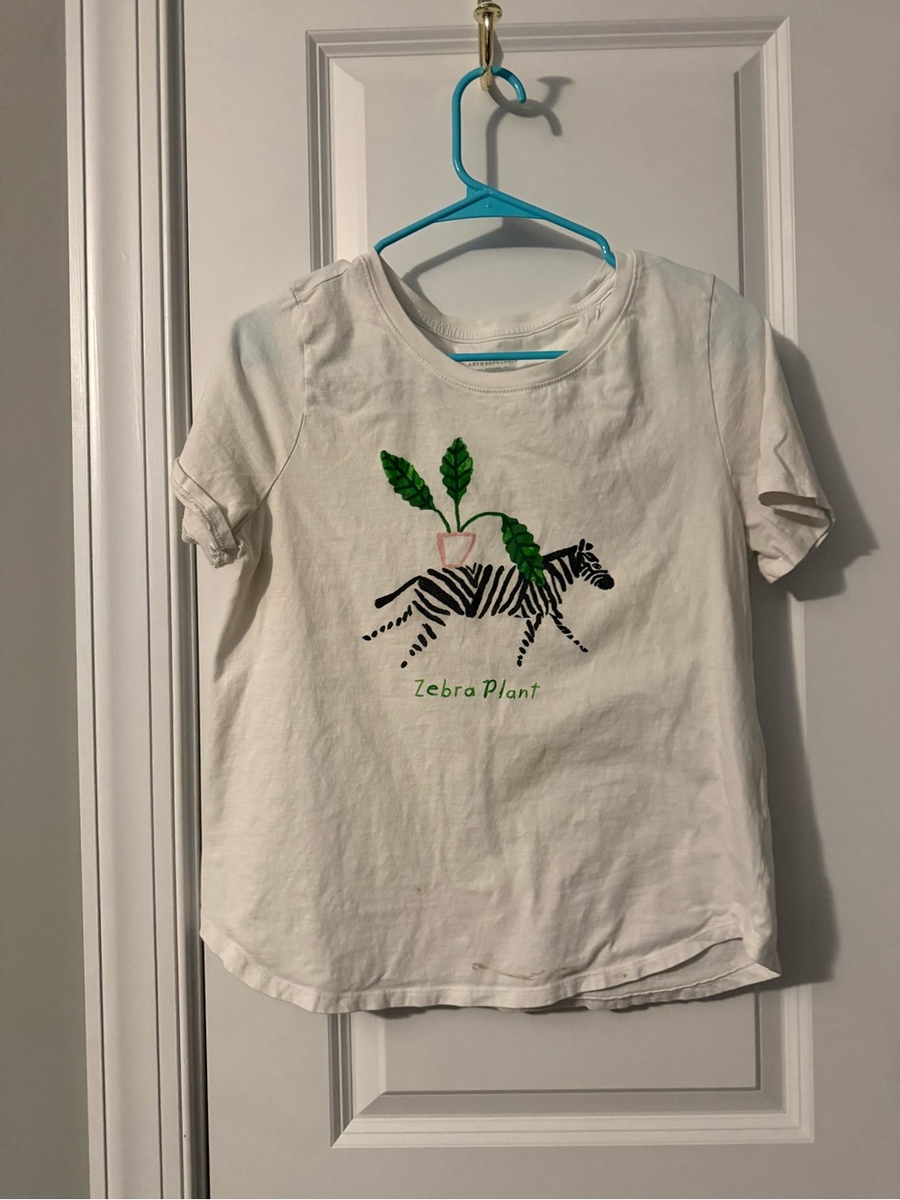 Zebra Plant Graphic Tee - White